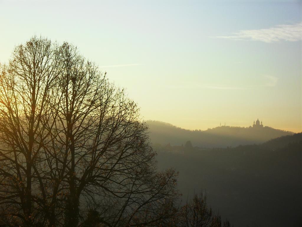 Il Cortiletto Dei Capperi Bed & Breakfast Gassino Torinese Room photo